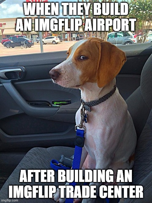 i sound like an og user with this meme template | WHEN THEY BUILD AN IMGFLIP AIRPORT; AFTER BUILDING AN IMGFLIP TRADE CENTER | image tagged in suspicious dog | made w/ Imgflip meme maker