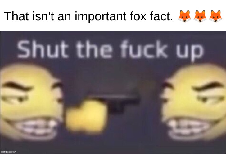 ong | That isn't an important fox fact. 🦊🦊🦊 | image tagged in stfu | made w/ Imgflip meme maker