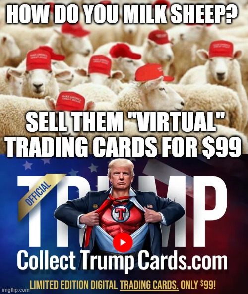 How do you milk sheep?  Sell them virtual trading cards for $99 | HOW DO YOU MILK SHEEP? SELL THEM "VIRTUAL" TRADING CARDS FOR $99 | image tagged in trump sheeple,trump,republican,sheeple,dishonest,scam | made w/ Imgflip meme maker