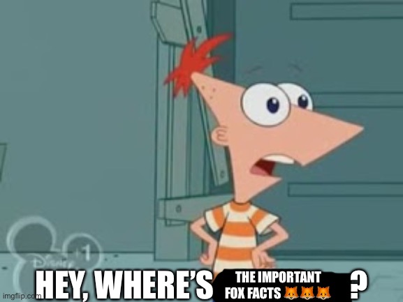 That would be your [important fox facts :fox::fox::fox:]! | HEY, WHERE’S                      ? THE IMPORTANT FOX FACTS 🦊🦊🦊 | image tagged in where's perry,your mother,balls | made w/ Imgflip meme maker