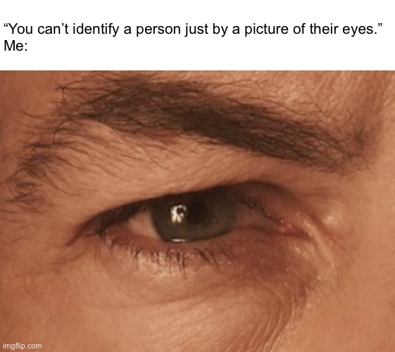 “You can’t identify a person just by a picture of their eyes.”
Me: | made w/ Imgflip meme maker