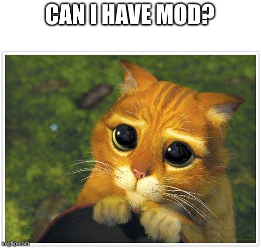 Shrek Cat Meme | CAN I HAVE MOD? | image tagged in memes,shrek cat | made w/ Imgflip meme maker