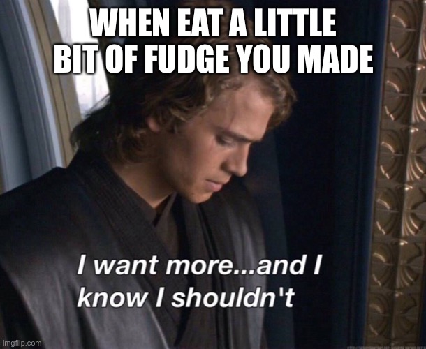 I want more and I know I shouldn't | WHEN EAT A LITTLE BIT OF FUDGE YOU MADE | image tagged in i want more and i know i shouldn't | made w/ Imgflip meme maker