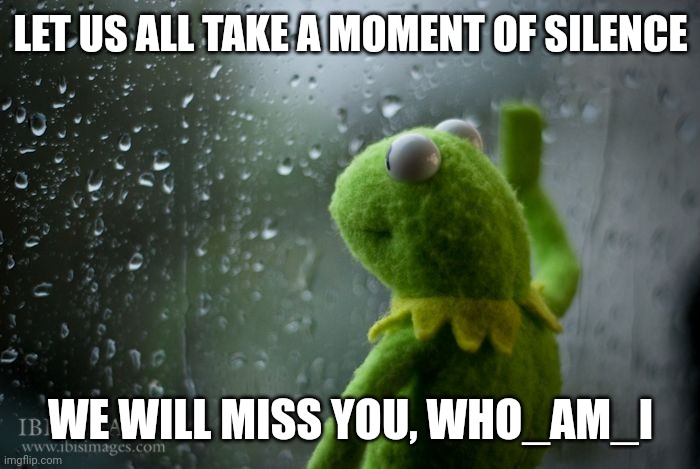 kermit window | LET US ALL TAKE A MOMENT OF SILENCE; WE WILL MISS YOU, WHO_AM_I | image tagged in kermit window,who am i,sad,goodbye | made w/ Imgflip meme maker
