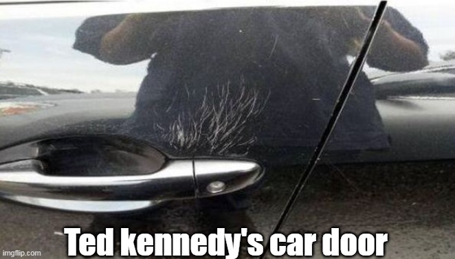 Ted kennedy's car door | made w/ Imgflip meme maker