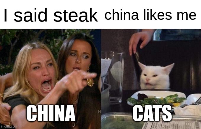 cats in china | I said steak; china likes me; CHINA; CATS | image tagged in memes,woman yelling at cat | made w/ Imgflip meme maker