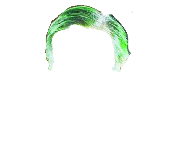 Peluca verde KKs Blank Meme Template