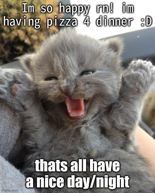 i am so happy :) | Im so happy rn! im having pizza 4 dinner :D; thats all have a nice day/night | image tagged in yay kitty | made w/ Imgflip meme maker