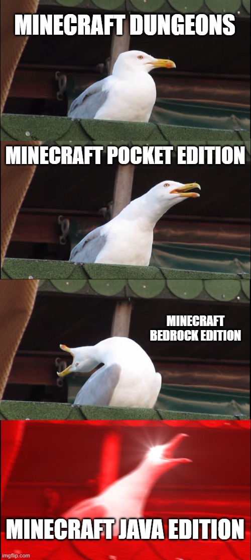 Inhaling Seagull | MINECRAFT DUNGEONS; MINECRAFT POCKET EDITION; MINECRAFT BEDROCK EDITION; MINECRAFT JAVA EDITION | image tagged in memes,inhaling seagull | made w/ Imgflip meme maker