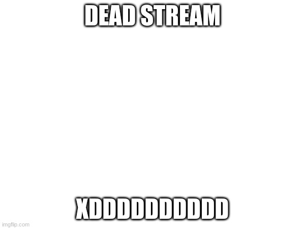 AAAAAAAAAAAAAAAAAAAAA- | DEAD STREAM; XDDDDDDDDDD | image tagged in lol so funny | made w/ Imgflip meme maker