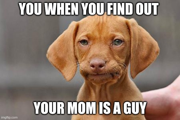 Dissapointed puppy | YOU WHEN YOU FIND OUT; YOUR MOM IS A GUY | image tagged in dissapointed puppy | made w/ Imgflip meme maker