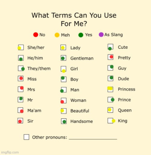 Pronouns Sheet | image tagged in pronouns sheet | made w/ Imgflip meme maker