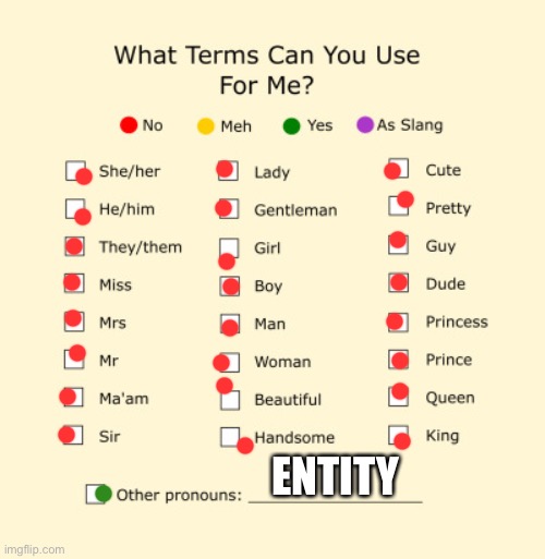 this is a joke and not meant to be taken seriously | ENTITY | image tagged in pronouns sheet | made w/ Imgflip meme maker