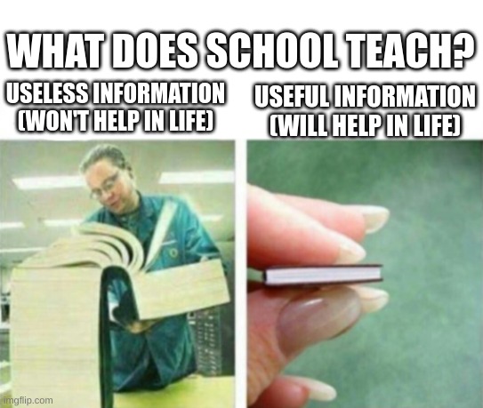What Does School Teach Students? | WHAT DOES SCHOOL TEACH? USELESS INFORMATION
(WON'T HELP IN LIFE); USEFUL INFORMATION
(WILL HELP IN LIFE) | image tagged in my knowledge of blank | made w/ Imgflip meme maker