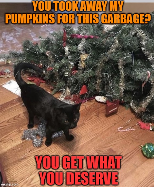 KITTY WANTS THE PUMPKINS BACK | YOU TOOK AWAY MY PUMPKINS FOR THIS GARBAGE? YOU GET WHAT YOU DESERVE | image tagged in funny cats,cats,pumpkins,christmas tree | made w/ Imgflip meme maker