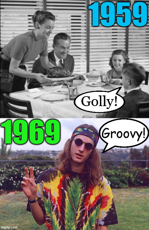 They grow up so fast! | 1959; Golly! 1969; Groovy! | image tagged in 1950s family,memes,hippies,1960s,1950s | made w/ Imgflip meme maker
