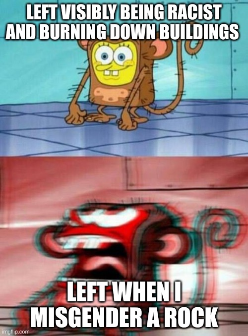 SpongeBob Monkey | LEFT VISIBLY BEING RACIST AND BURNING DOWN BUILDINGS; LEFT WHEN I MISGENDER A ROCK | image tagged in spongebob monkey | made w/ Imgflip meme maker