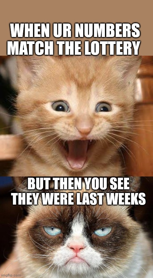  WHEN UR NUMBERS MATCH THE LOTTERY; BUT THEN YOU SEE THEY WERE LAST WEEKS | image tagged in memes,excited cat,grumpy cat not amused | made w/ Imgflip meme maker