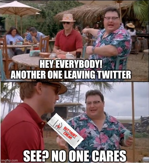 See Nobody Cares Meme | HEY EVERYBODY! ANOTHER ONE LEAVING TWITTER; SEE? NO ONE CARES | image tagged in memes,see nobody cares | made w/ Imgflip meme maker