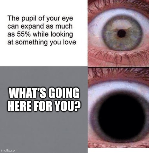 ? | WHAT'S GOING HERE FOR YOU? | image tagged in question | made w/ Imgflip meme maker