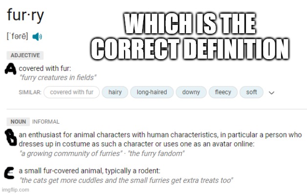 i need to know | WHICH IS THE CORRECT DEFINITION | made w/ Imgflip meme maker