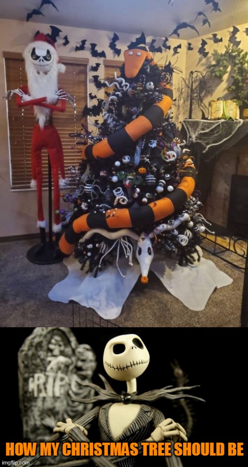 A BEAUTIFUL TREE | HOW MY CHRISTMAS TREE SHOULD BE | image tagged in nightmare before christmas jack skellington,christmas tree,nightmare before christmas,jack skellington,halloween | made w/ Imgflip meme maker