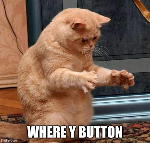 mew2this | WHERE Y BUTTON | image tagged in noob,pwnd,cat,gaming | made w/ Imgflip meme maker