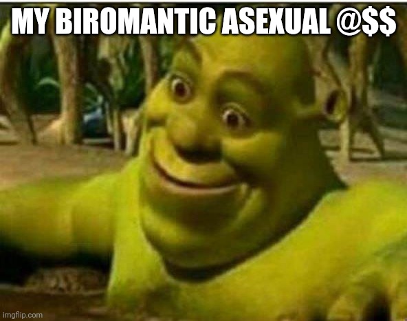 Sherk amazed | MY BIROMANTIC ASEXUAL @$$ | image tagged in sherk amazed | made w/ Imgflip meme maker