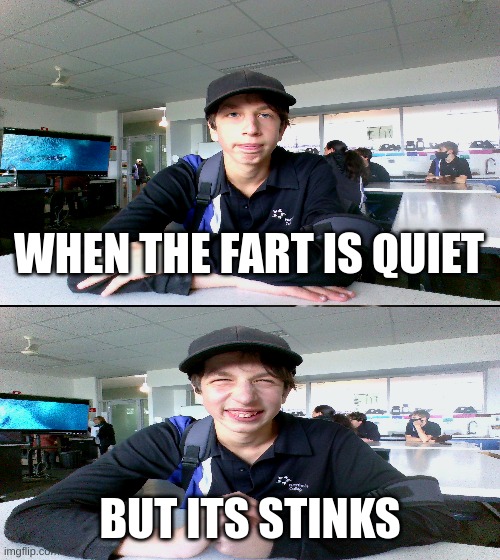 when you fart | WHEN THE FART IS QUIET; BUT ITS STINKS | image tagged in fun | made w/ Imgflip meme maker