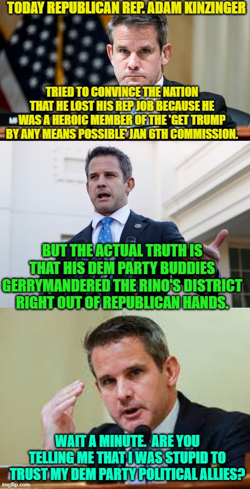 Psssst . . . Adam . . . stupid is as stupid does. | TODAY REPUBLICAN REP. ADAM KINZINGER; TRIED TO CONVINCE THE NATION THAT HE LOST HIS REP JOB BECAUSE HE WAS A HEROIC MEMBER OF THE 'GET TRUMP BY ANY MEANS POSSIBLE' JAN 6TH COMMISSION. BUT THE ACTUAL TRUTH IS THAT HIS DEM PARTY BUDDIES GERRYMANDERED THE RINO'S DISTRICT RIGHT OUT OF REPUBLICAN HANDS. WAIT A MINUTE.  ARE YOU TELLING ME THAT I WAS STUPID TO TRUST MY DEM PARTY POLITICAL ALLIES? | image tagged in stupid | made w/ Imgflip meme maker