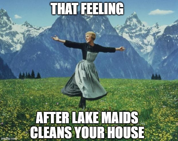 That feeling after Lake Maids clean your house | THAT FEELING; AFTER LAKE MAIDS CLEANS YOUR HOUSE | image tagged in that feeling when | made w/ Imgflip meme maker