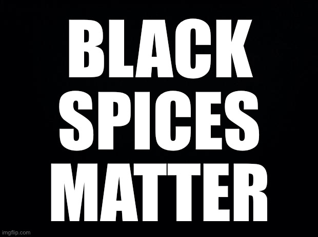 Black background | BLACK SPICES MATTER | image tagged in black background | made w/ Imgflip meme maker