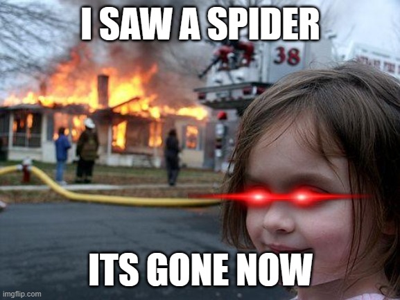 Disaster Girl | I SAW A SPIDER; ITS GONE NOW | image tagged in memes,disaster girl | made w/ Imgflip meme maker