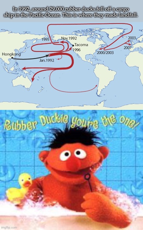 Many rubber duckies | In 1992, around 29,000 rubber ducks fell off a cargo ship in the Pacific Ocean. This is where they made landfall. | image tagged in rubber ducky,rubber ducks,current events | made w/ Imgflip meme maker