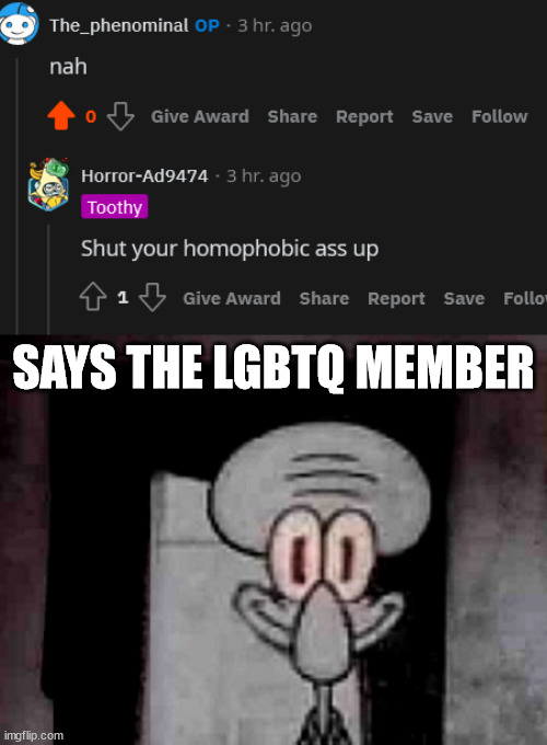 SAYS THE LGBTQ MEMBER | image tagged in staring squidward | made w/ Imgflip meme maker