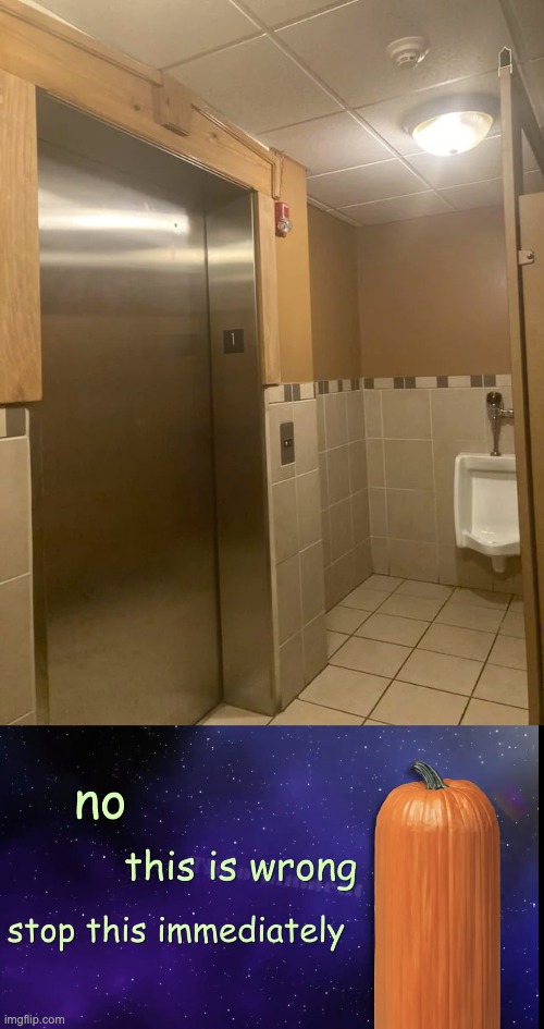 An Elevator inside of a Bathroom?! | image tagged in pumpkin facts,memes,you had one job,elevator,bathroom,design fails | made w/ Imgflip meme maker