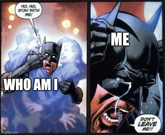 NOOOOO | ME; WHO AM I | image tagged in batman don't leave me | made w/ Imgflip meme maker