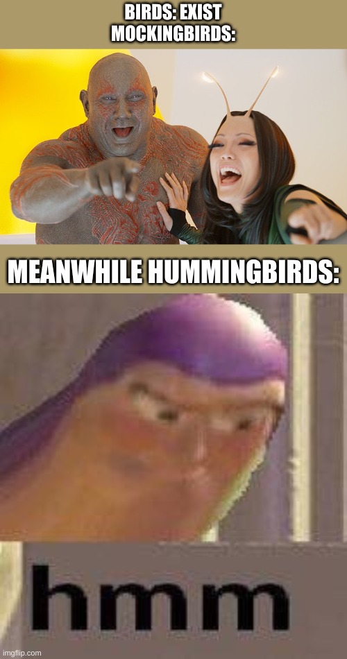 BIRDS: EXIST
MOCKINGBIRDS:; MEANWHILE HUMMINGBIRDS: | image tagged in drax mantis laughing,buzz lightyear hmm | made w/ Imgflip meme maker