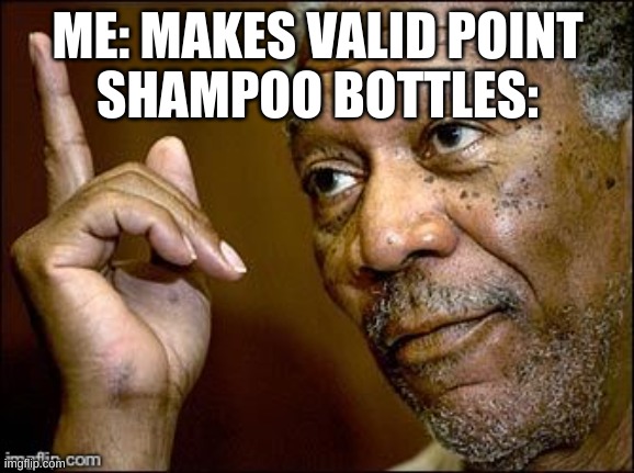 True Dat | ME: MAKES VALID POINT
SHAMPOO BOTTLES: | image tagged in true dat | made w/ Imgflip meme maker