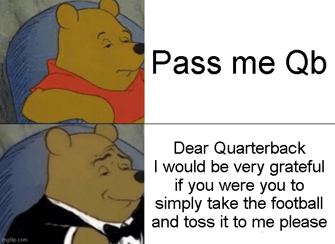 PaSs mE qB | Pass me Qb; Dear Quarterback I would be very grateful if you were you to simply take the football and toss it to me please | image tagged in memes,tuxedo winnie the pooh | made w/ Imgflip meme maker
