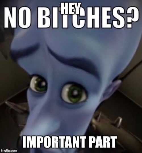 No Bitches | HEY; IMPORTANT PART | image tagged in no bitches | made w/ Imgflip meme maker