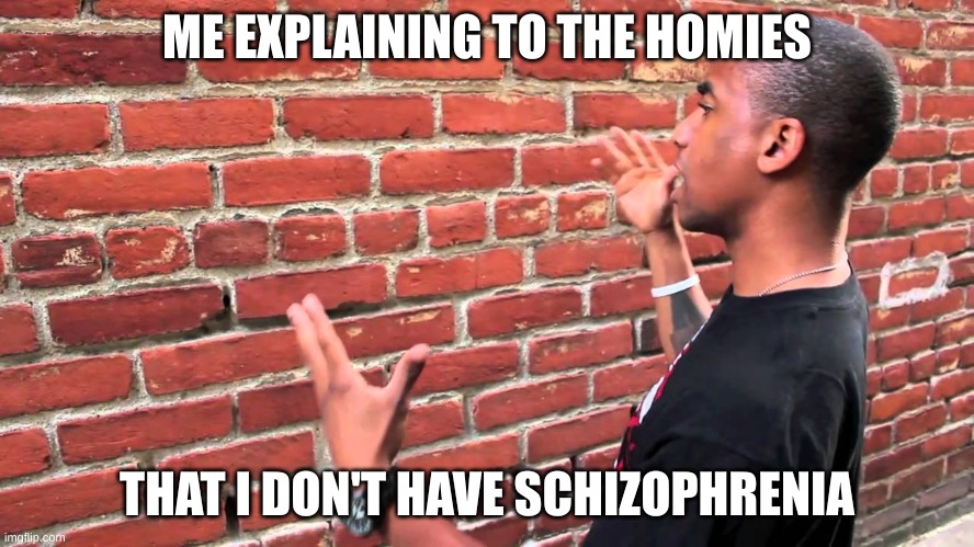 Brick wall | ME EXPLAINING TO THE HOMIES; THAT I DON'T HAVE SCHIZOPHRENIA | image tagged in brick wall | made w/ Imgflip meme maker