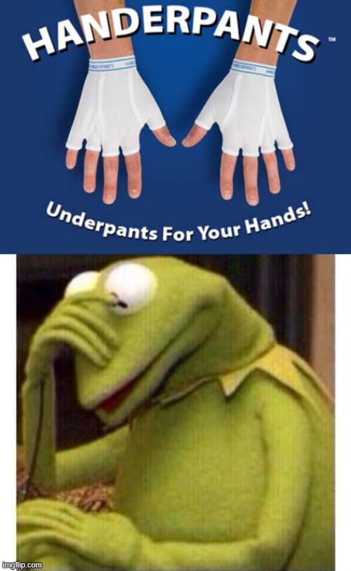 I've posted 27 MEMES TODAY! This is my last for today XD good night (#281) | image tagged in kermit face plam,underwear,stupid,hands,products,funny | made w/ Imgflip meme maker