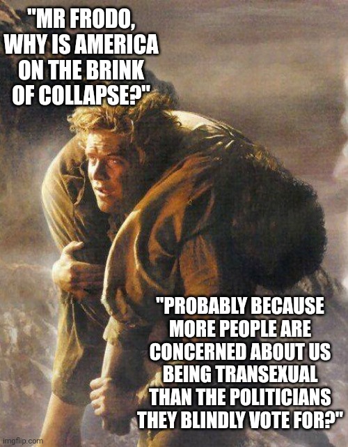I think this happened... | "MR FRODO, WHY IS AMERICA ON THE BRINK OF COLLAPSE?"; "PROBABLY BECAUSE MORE PEOPLE ARE CONCERNED ABOUT US BEING TRANSEXUAL THAN THE POLITICIANS THEY BLINDLY VOTE FOR?" | image tagged in sam carrying frodo,liberals,collapse,stupid people,reality is often dissapointing,sad | made w/ Imgflip meme maker