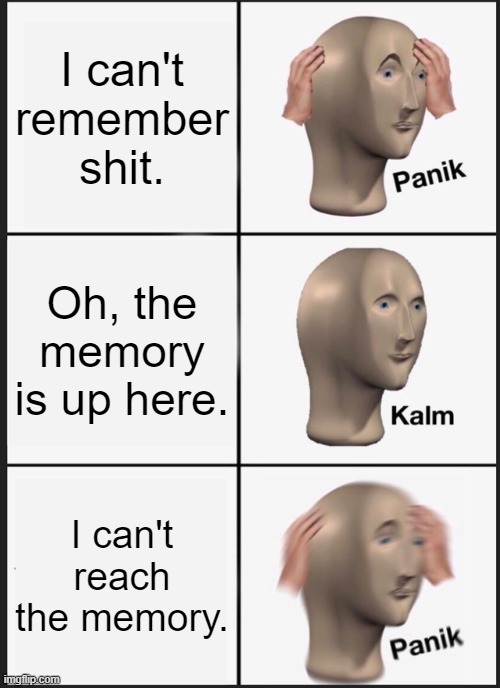 My Brain Hates Me. | I can't remember shit. Oh, the memory is up here. I can't reach the memory. | image tagged in memes,panik kalm panik | made w/ Imgflip meme maker