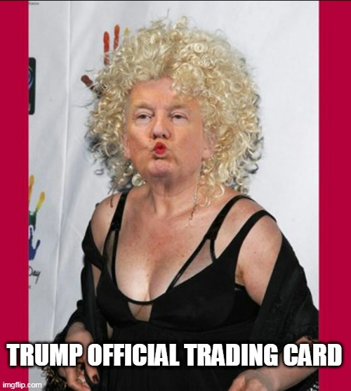 Trump Official Trading Card | TRUMP OFFICIAL TRADING CARD | image tagged in trump drag,maga,president trump | made w/ Imgflip meme maker