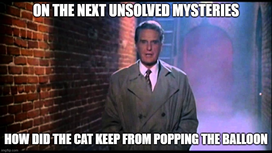 Unsolved Mysteries | ON THE NEXT UNSOLVED MYSTERIES HOW DID THE CAT KEEP FROM POPPING THE BALLOON | image tagged in unsolved mysteries | made w/ Imgflip meme maker