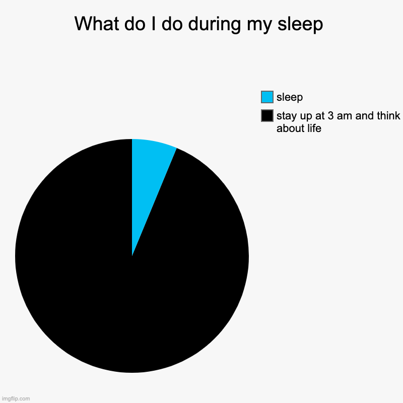 What do I do during my sleep? | What do I do during my sleep | stay up at 3 am and think about life, sleep | image tagged in charts,pie charts,sleep,pie chart,memes,so true memes | made w/ Imgflip chart maker
