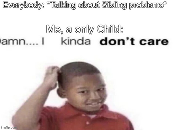 Seriously bro | Everybody: *Talking about Sibling problems*; Me, a only Child: | image tagged in siblings,funny memes | made w/ Imgflip meme maker