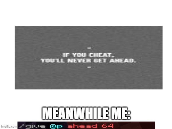 Cheating to get yourself ahead, wow | MEANWHILE ME: | image tagged in minecraft,memes | made w/ Imgflip meme maker